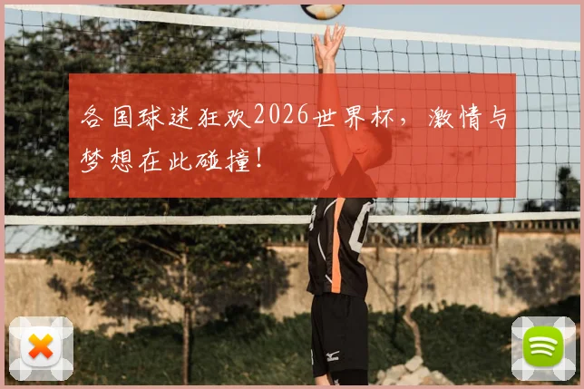 各国球迷狂欢2026世界杯,激情与梦想在此碰撞!