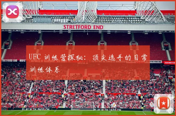 UFC 训练营探秘：顶尖选手的日常训练体系